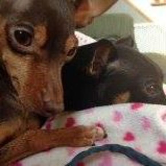 Meet your Posher, Laura - Picture 1 of 1